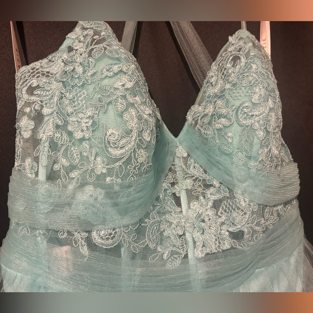 plus size prom dress